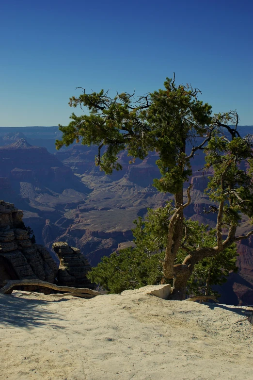 the landscape is beautiful and has some trees growing on it