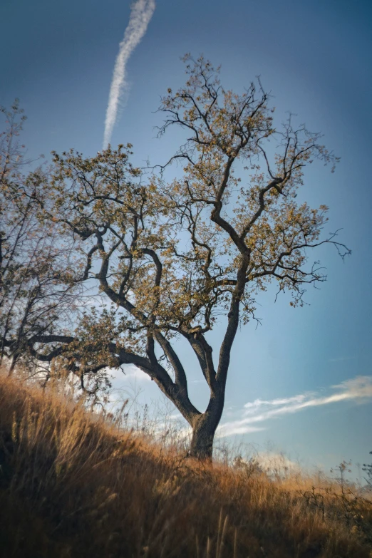 an image of an artistic view with a smoke trail