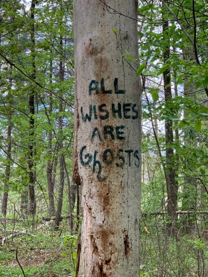 a tree with graffiti that reads, all wishes are ghosts