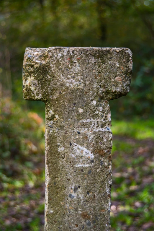 a cross shaped rock in the woods with moss growing on it