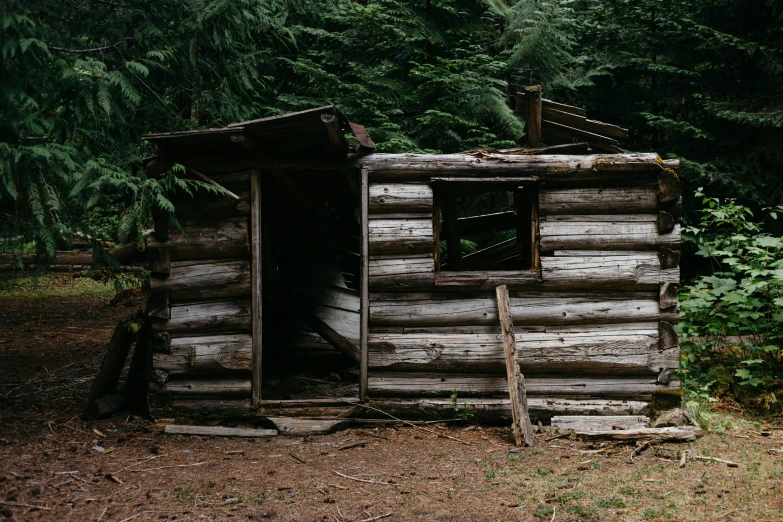 the log cabin is situated in the forest near pine trees