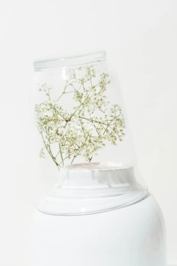a vase with flowers in it, under a white background