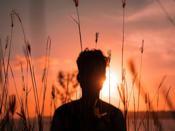 a person standing in front of tall grass as the sun sets