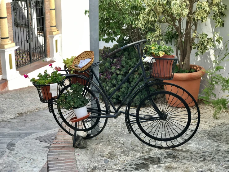 a black bicycle with some flowers in the basket