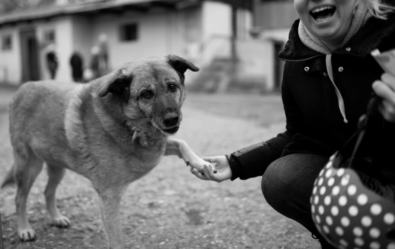 woman is giving soing to her dog by it's mouth