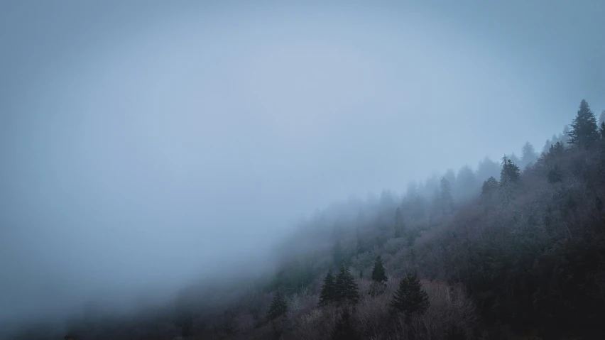 a dark landscape with fog, trees and mist