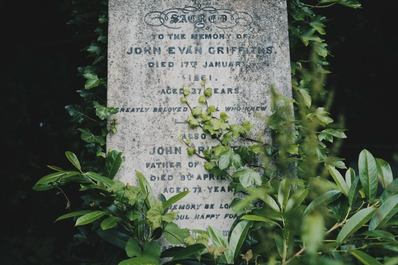 the head stone for john e raw critter cemetery surrounded by foliage
