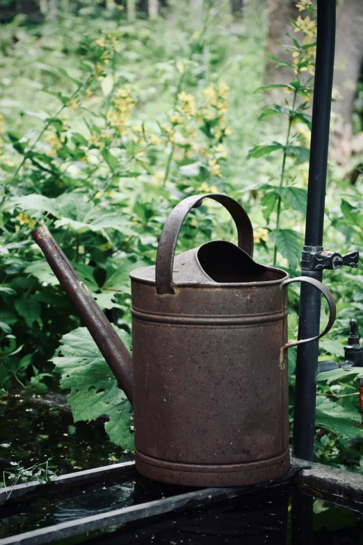 a watering can is shown in front of a tall green plant
