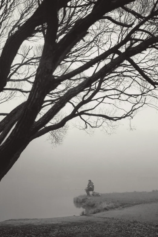 a man walking on top of a hill with trees