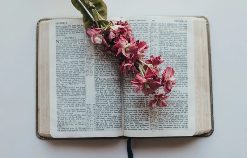 flowers laid on the edge of a book