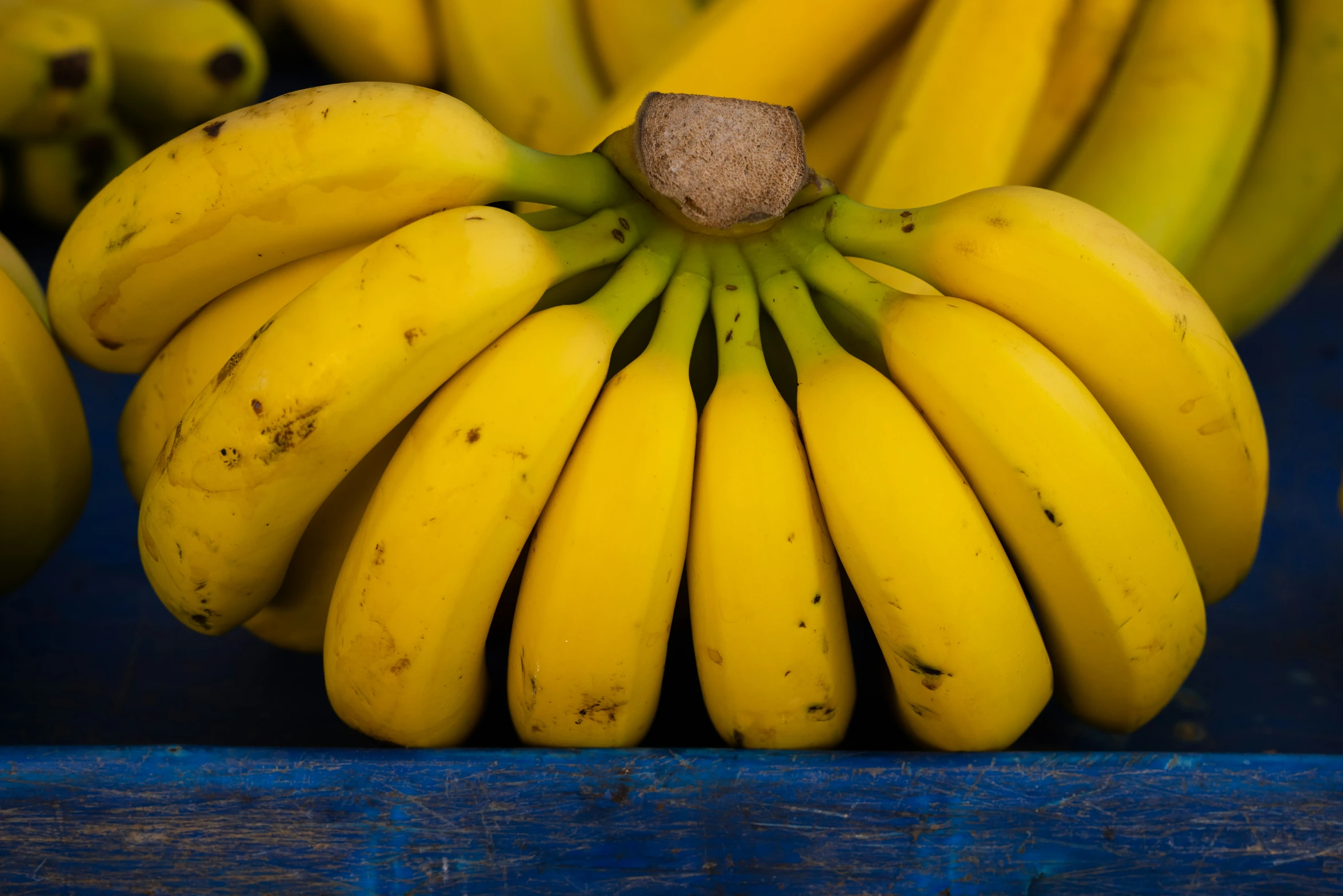 bunches of bananas are lined up together on a shelf