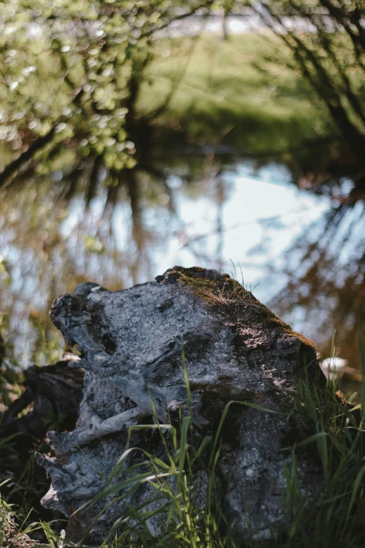 a rock sitting next to some water and grass