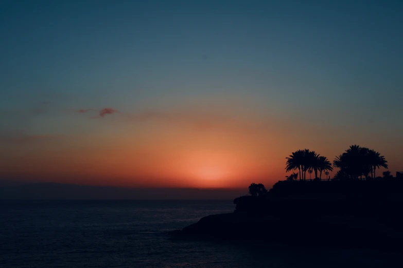 palm trees and a distant body of water at sunset