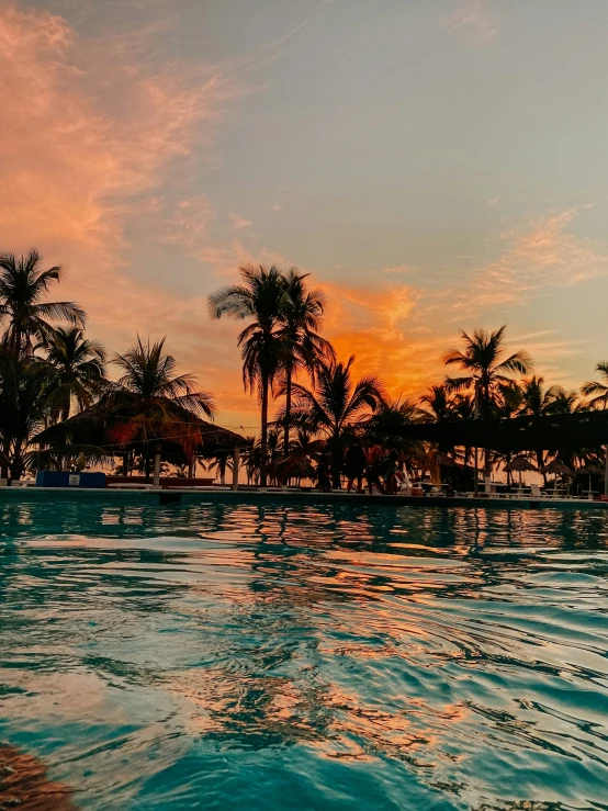 the ocean and palm trees glow brightly at sunset