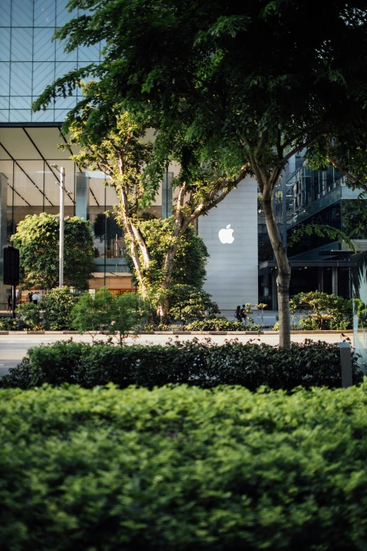 a building sitting next to a lush green hedge