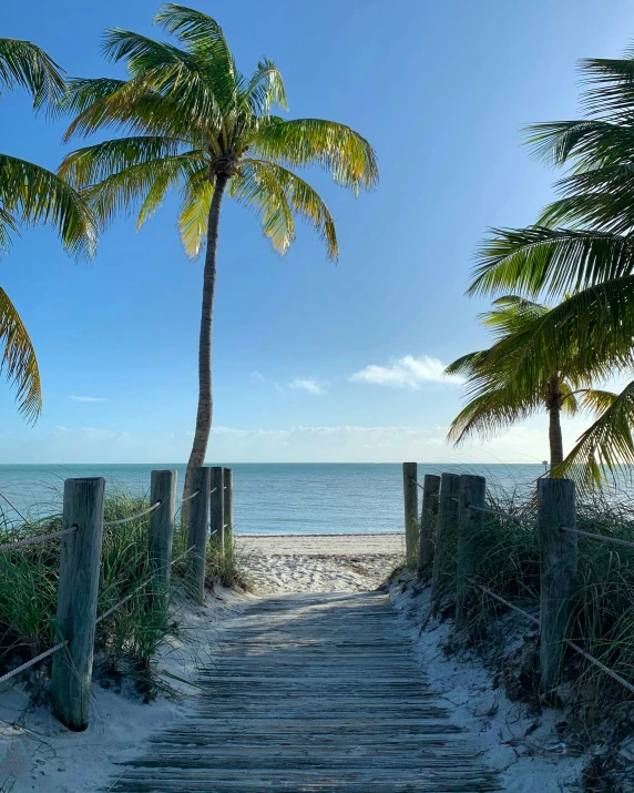 a beach scene with a palm tree and staircase