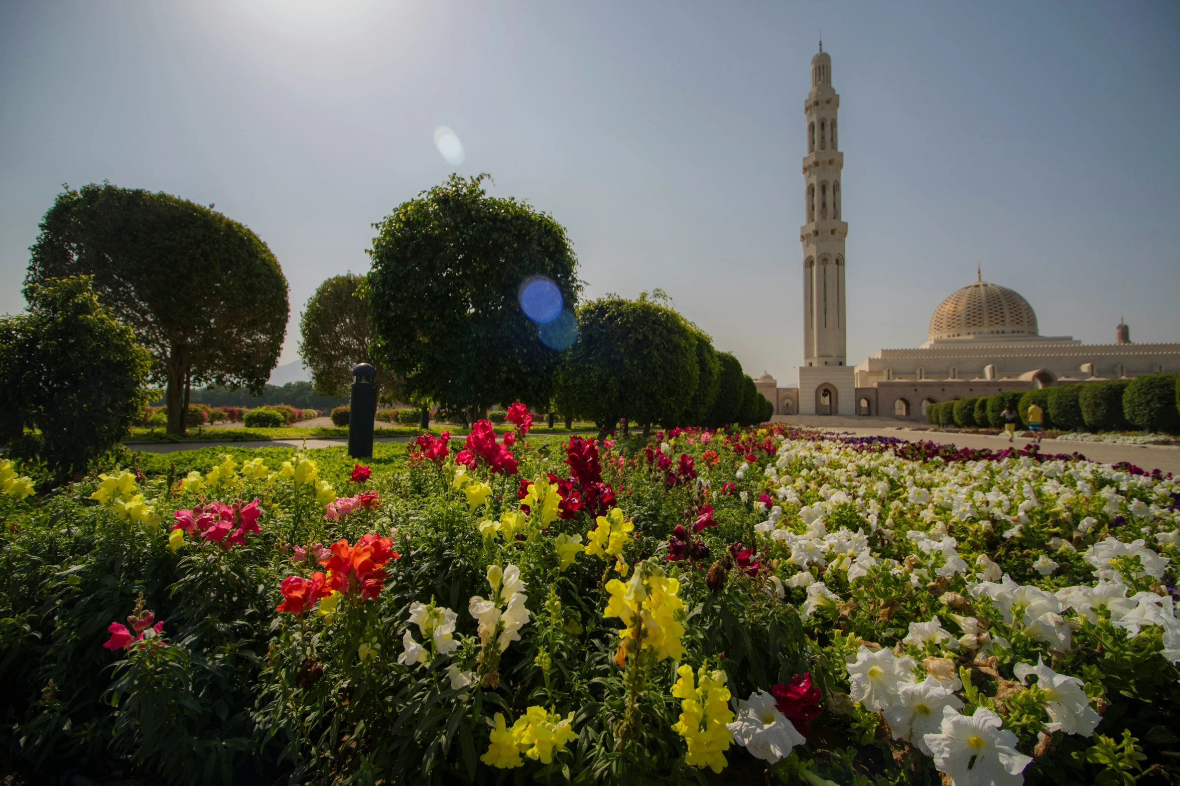 a building and many trees surrounding by flowers