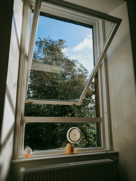 window pane looking out over a small tree