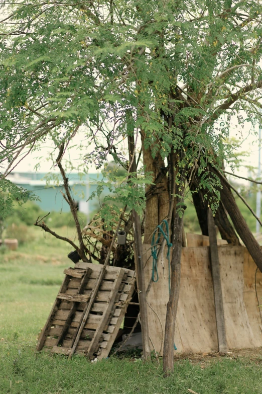 an old wooden shed next to a tree