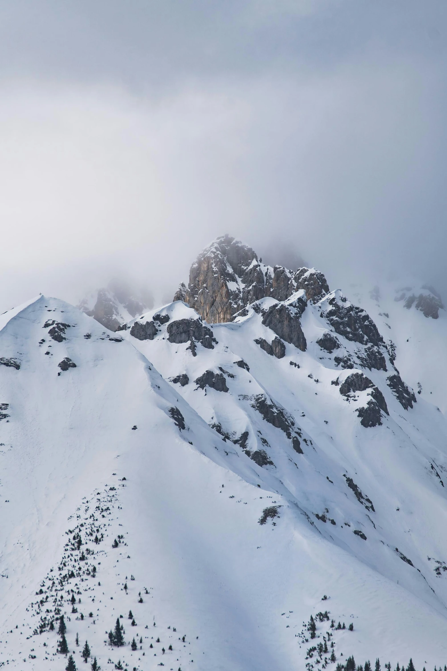 snow - covered mountains on a cloudy day in the woods