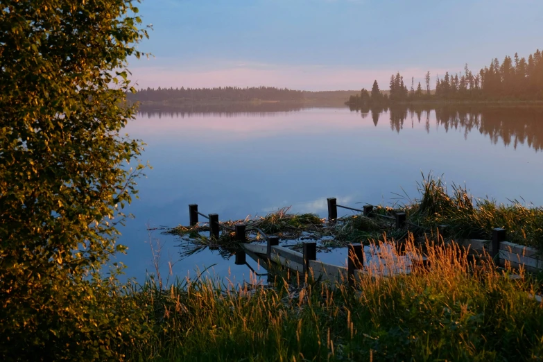 a pond surrounded by tall grass and a large lake