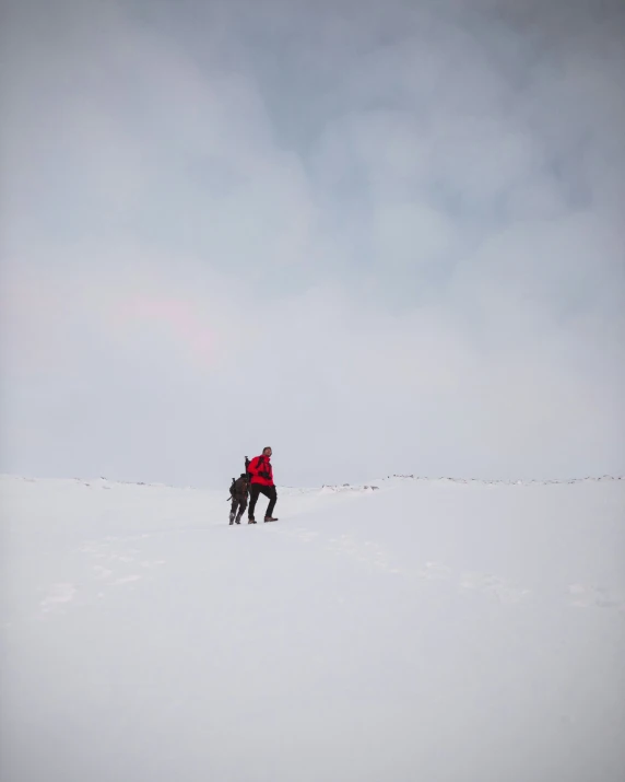 a person on skis looking off into the distance in the snow