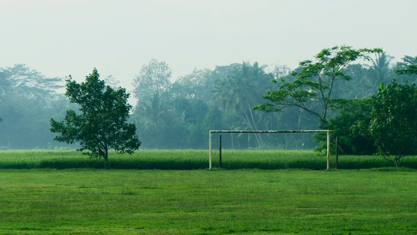 the goal on the field is empty but green