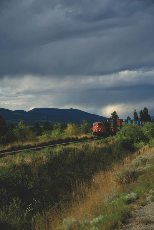 a train traveling down train tracks on a cloudy day