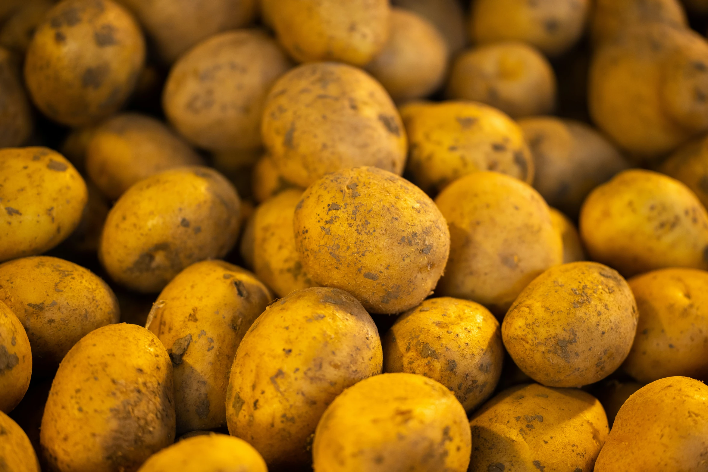 many potatoes stacked together in a large bin