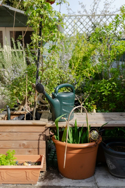 a potted plant, an old watering can, and some containers