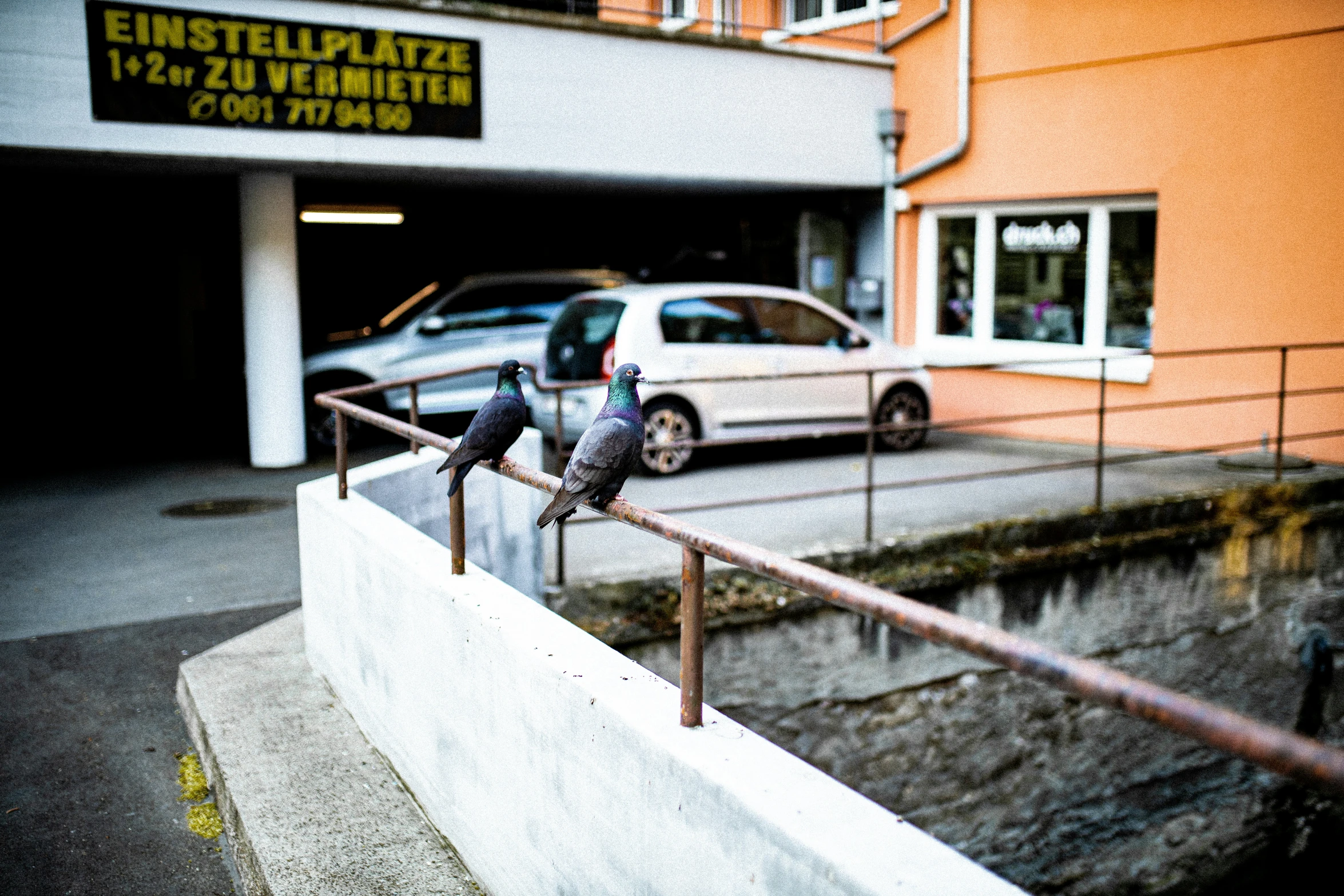 two pigeons perched on the ledge of an empty parking garage