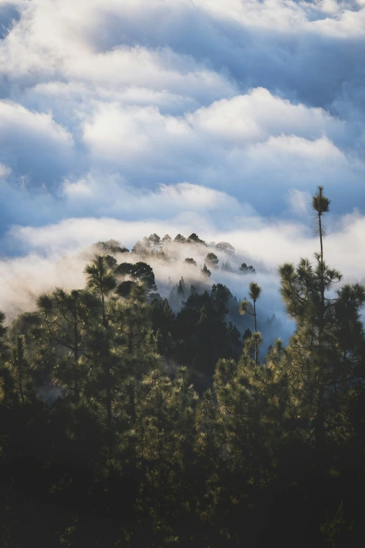 a mountain covered in fog and low lying clouds