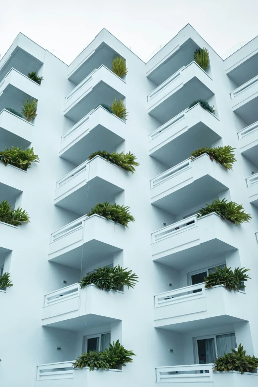 multiple balconies with green plants and window boxes on top