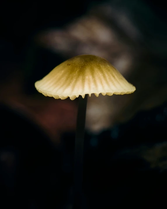 a yellow mushroom light against a black background