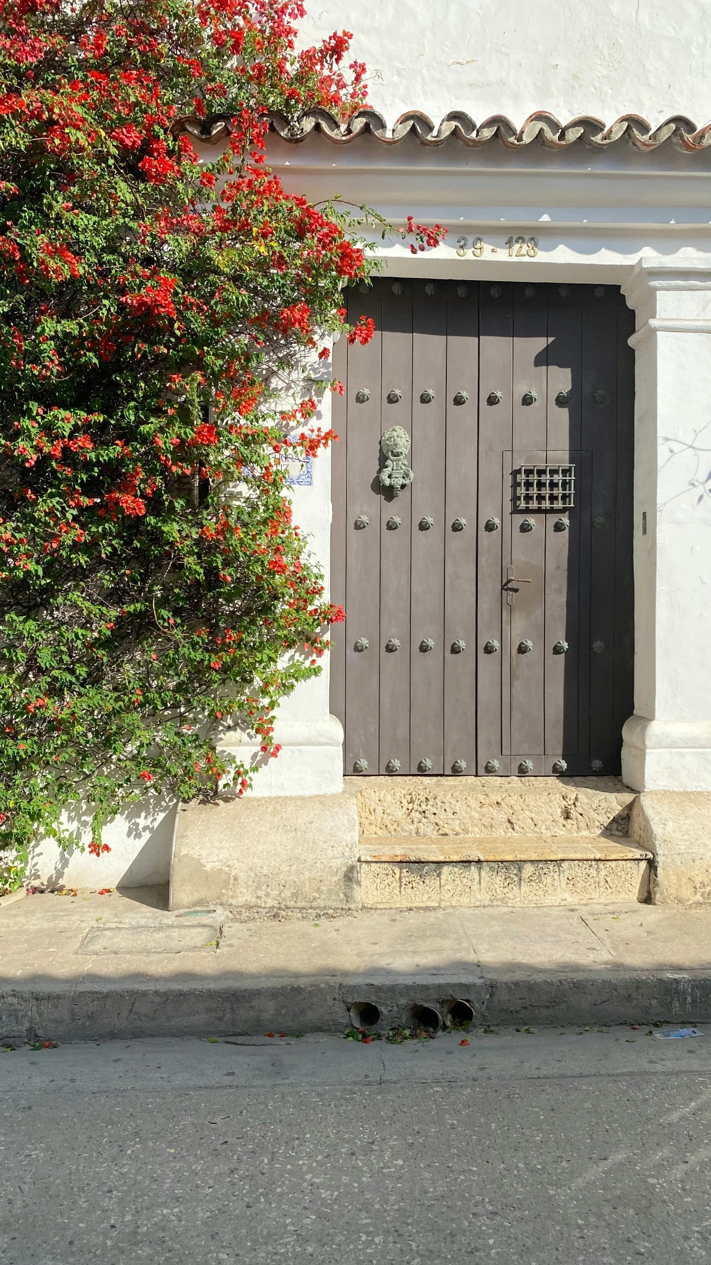 a big door with an ornate plant growing out of it