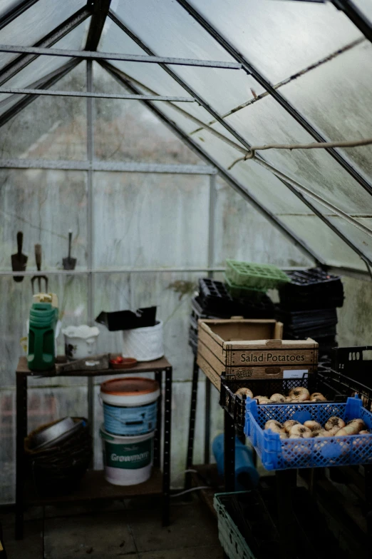 an outdoor greenhouse with lots of produce inside