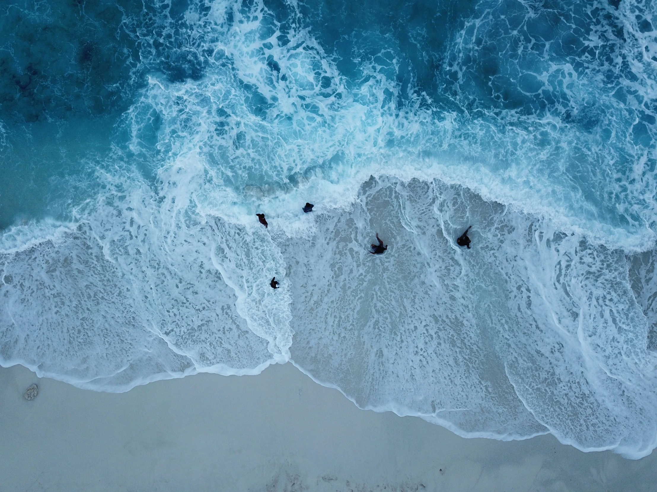 birds flying over the ocean near beach waves