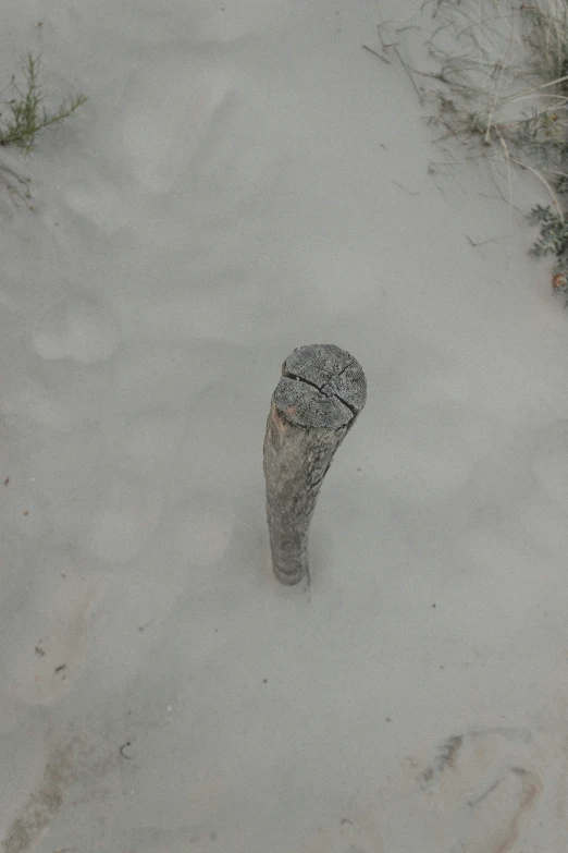 a small object in the snow during the day