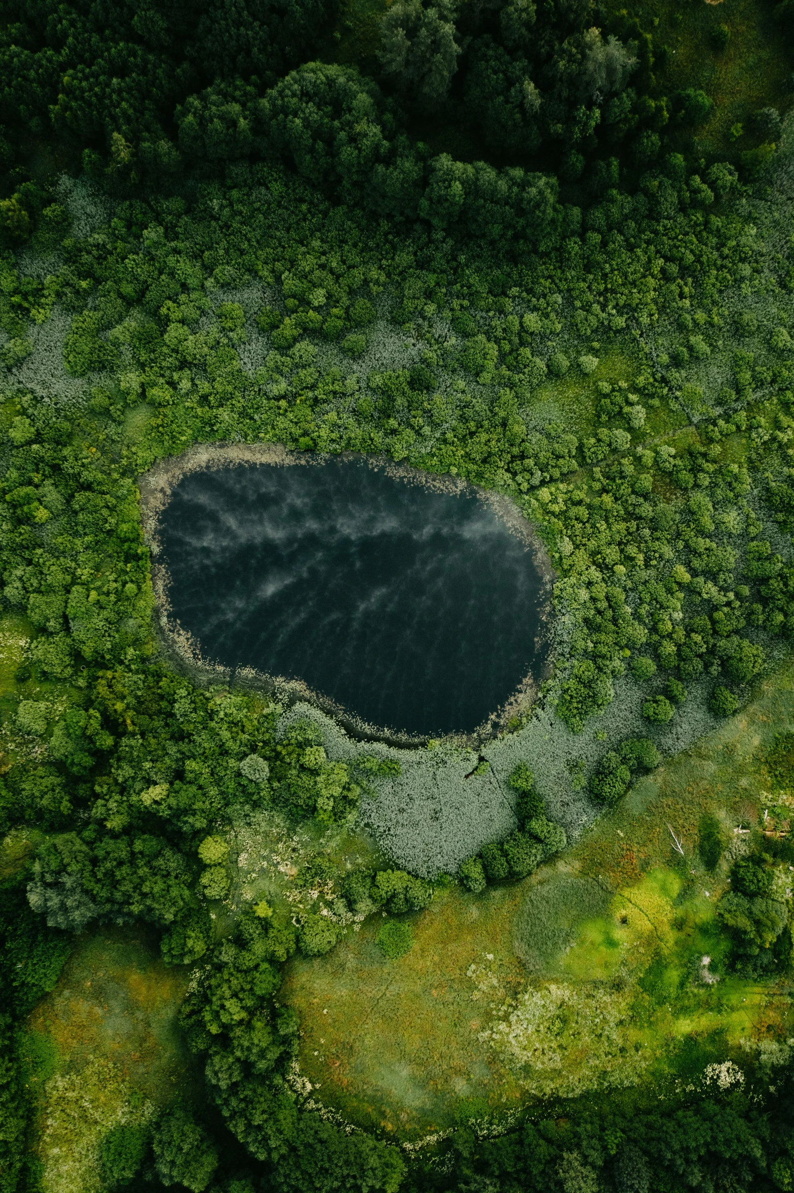 an aerial view of a wooded area, with water in the center