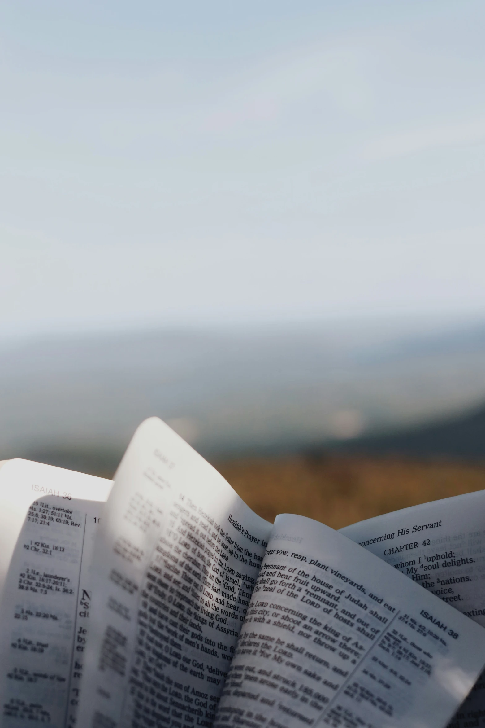 the pages of an open book flying above a field