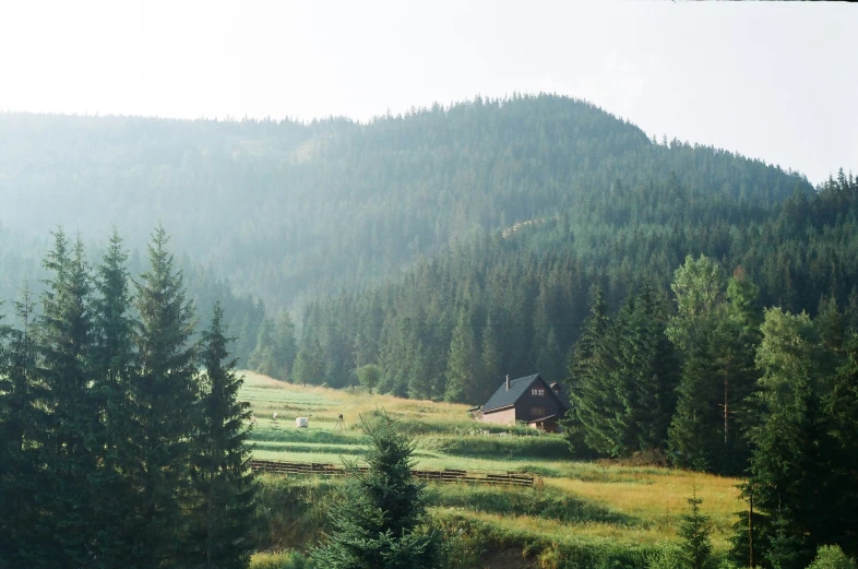 a field with a small house in the middle of a large forest