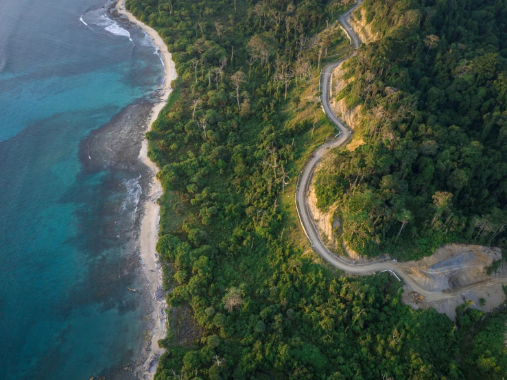 a curve shaped road next to a forest filled beach