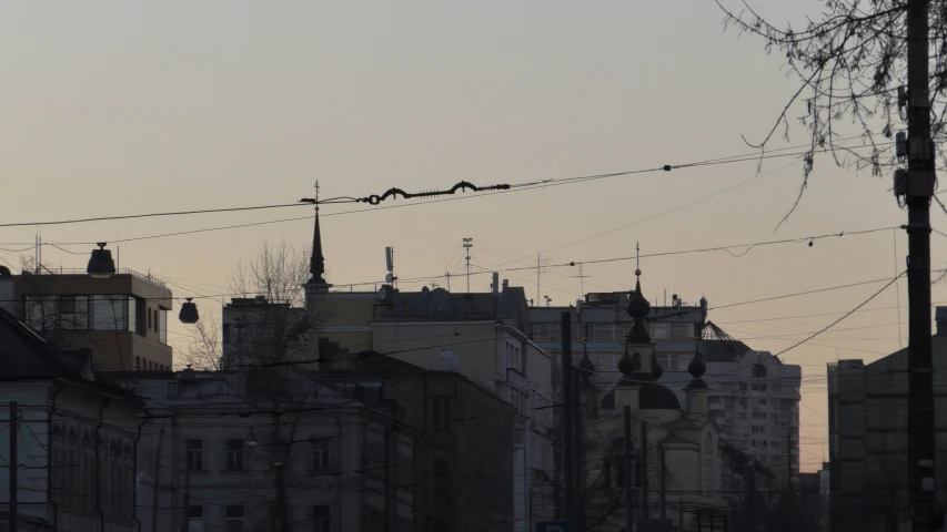 a bird on the telephone wires at dusk