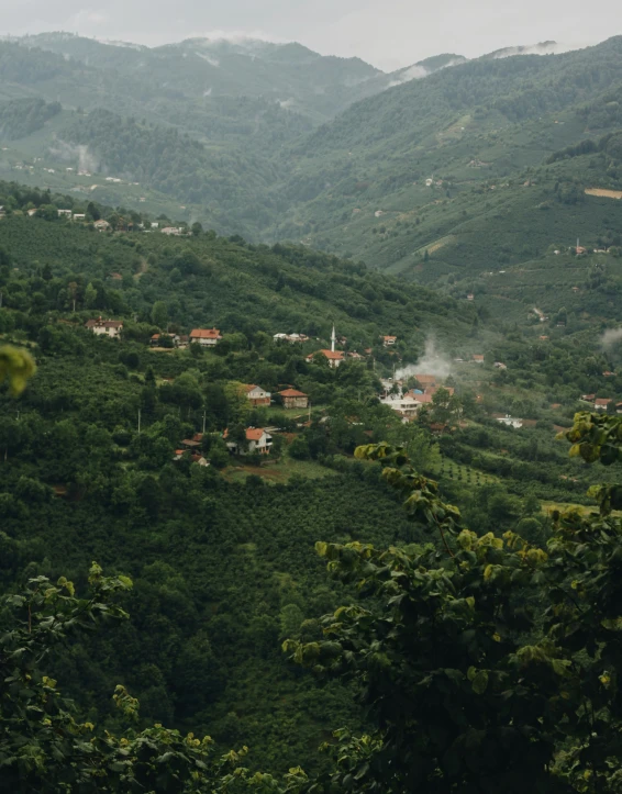 a green mountain that has houses on it