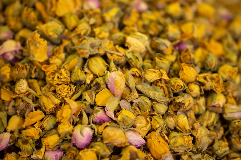 an overhead view of yellow flowers, close to one another