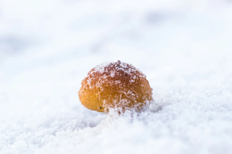 a fruit sprinkled with powder in the middle of snow
