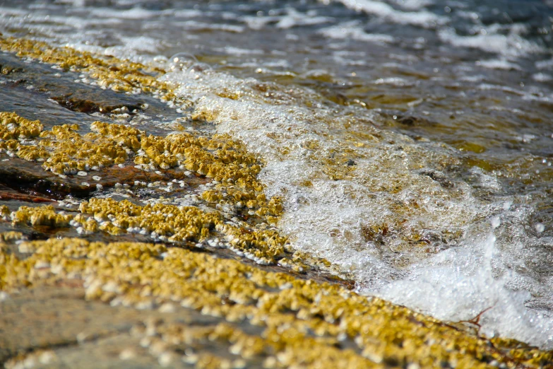 waves and splashes of water next to a yellow substance