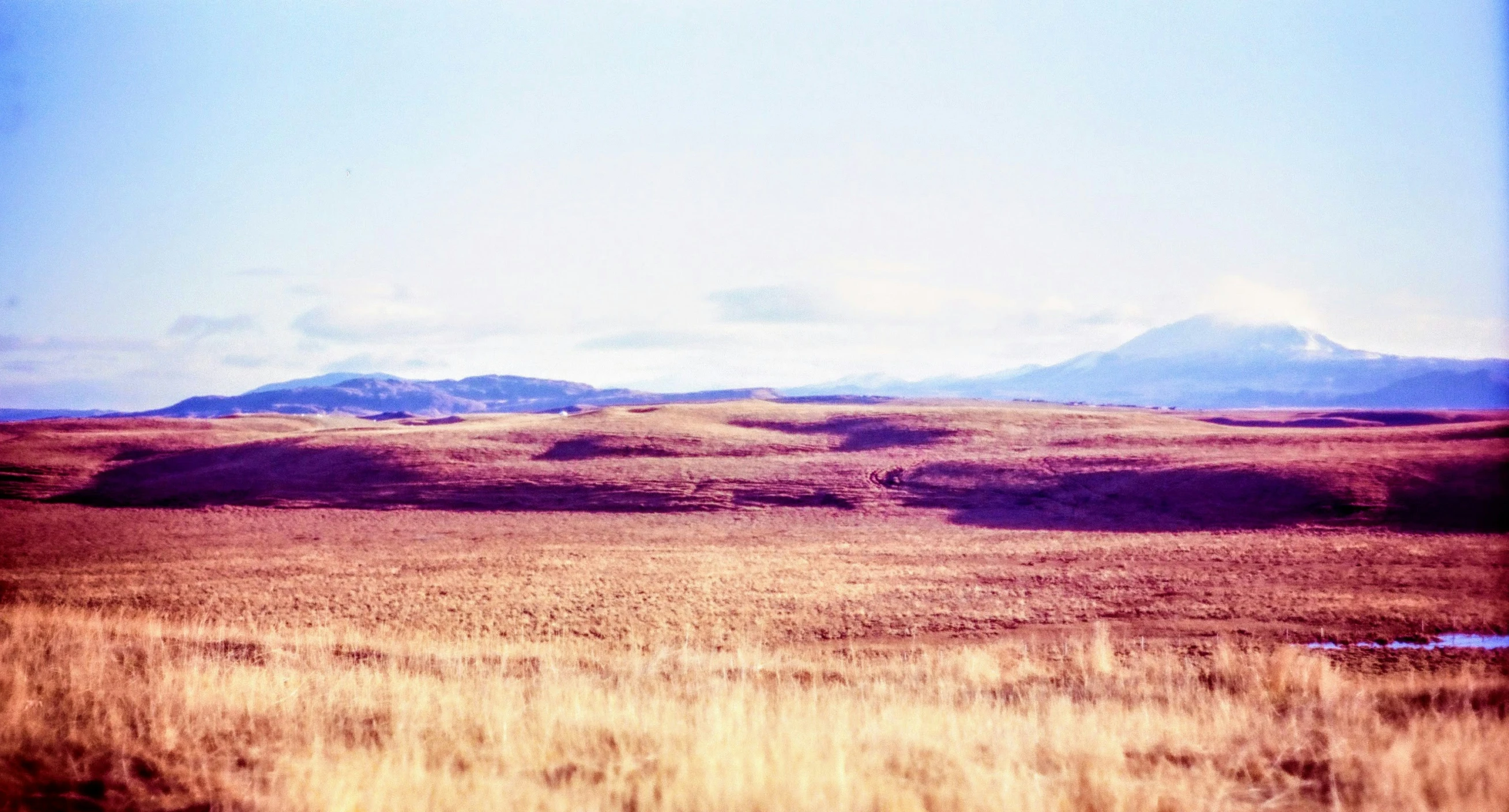 the mountain is in the distance with tall grass