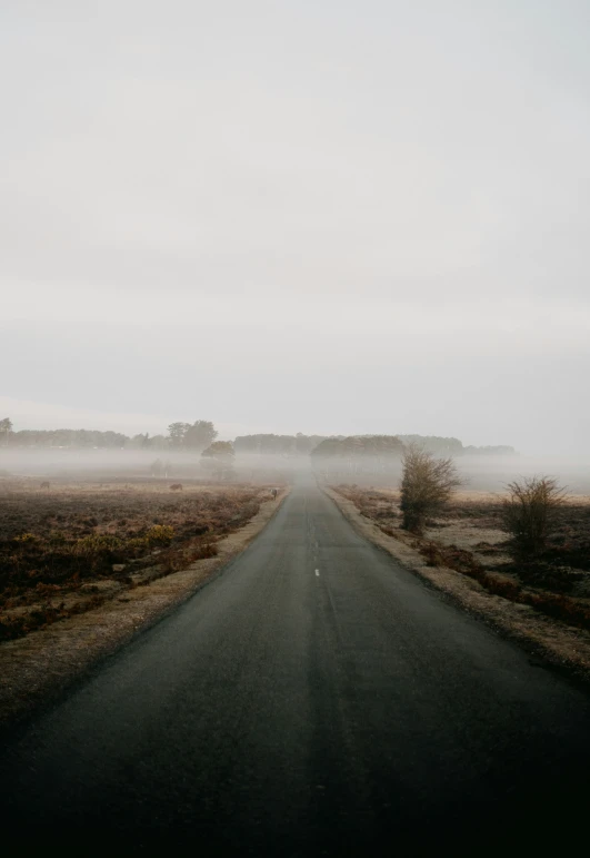 a long empty road going through the foggy countryside