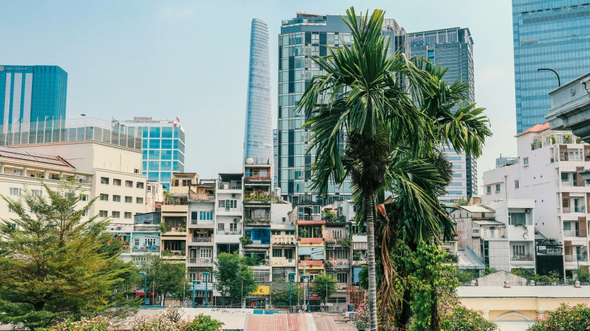 a palm tree stands alone in the middle of a city